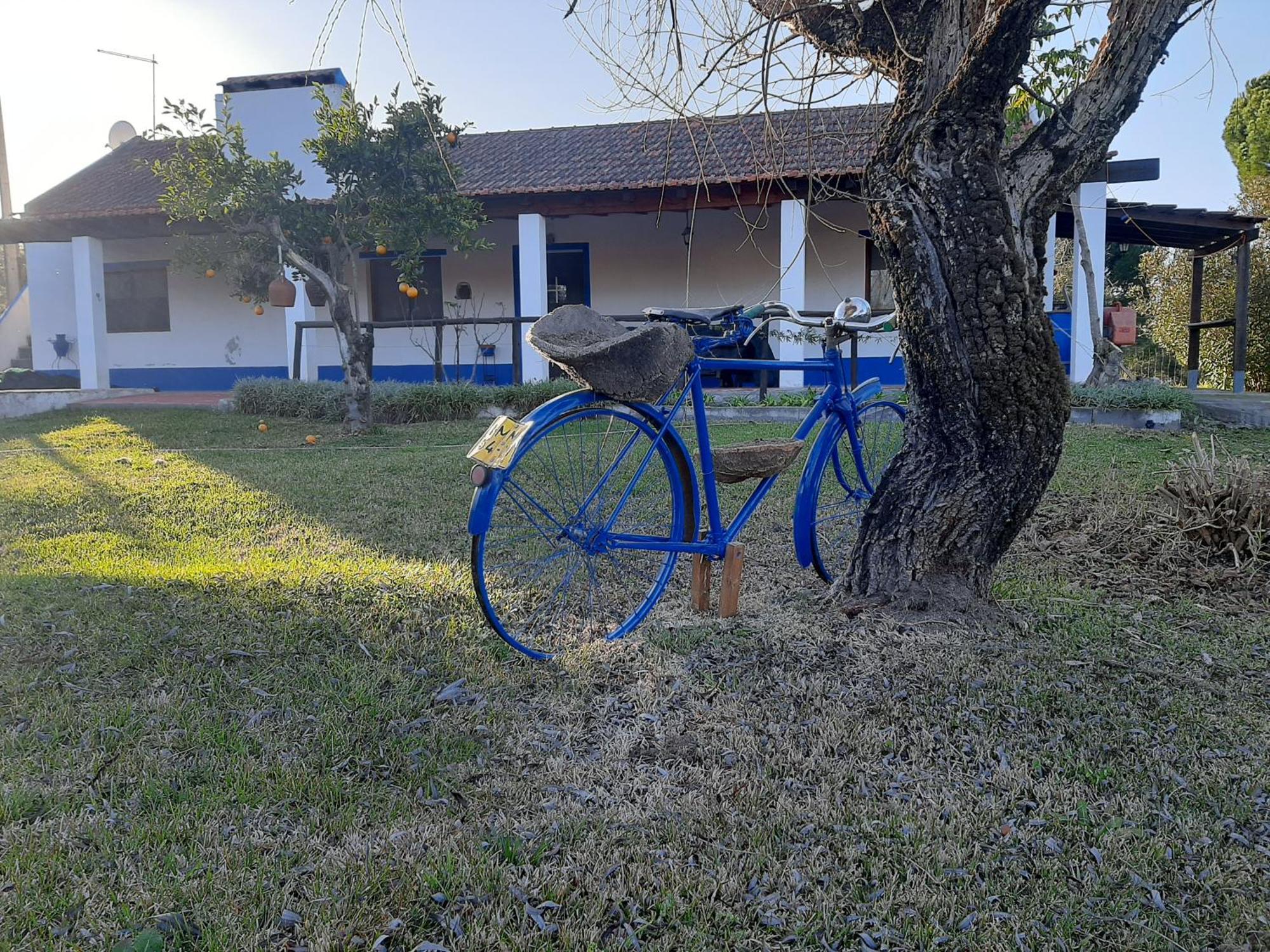 Monte Das Laranjeiras Corticadas do Lavre Экстерьер фото